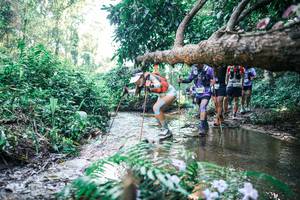 BIB: 
                            <button type="button" onclick="openModal(25446660)" class="btn btn-primary btn-sm float-right btn-popup" data-toggle="modal" data-target=".modal-high-quality">
                        <i class="fas fa-shopping-cart"></i> Add to Cart
                    </button>
                                            <button type="button" onclick="isThisMe(25446660, true)" class="btn btn-success btn-sm float-right btn-popup btn-isme hidden" data-toggle="tooltip" data-placement="bottom" title="นี่คือรูปของคุณใช่ไหม คลิกที่นี่เพื่อเอาเข้าอัลบั้ม">
                        <i class="fas fa-plus"></i> Add to album
                    </button>
                    <button type="button" onclick="isThisMe(25446660, false)" class="btn btn-warning btn-sm float-right btn-popup btn-isnotme hidden">
                        <i class="fas fa-ban"></i> Remove from album
                    </button>